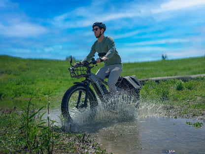 Himiway | D7 All-Terrain Electric Mountain Bike