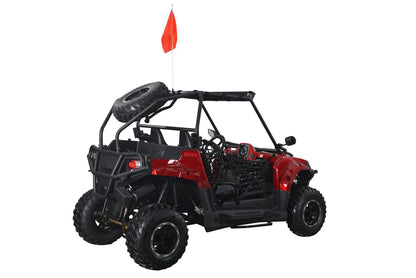 CRT Moto DF200RS UTV Side by Side, Automatic wih Reverse, Dual Disc Brakes, Double A-Arm Suspension