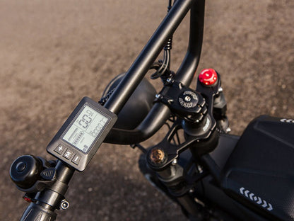 Freego | Shotgun Prime F2 Pro Cargo E-Bike | 1500W - F2 Pro(48V 22.5AH) With Rear Cargo Rack