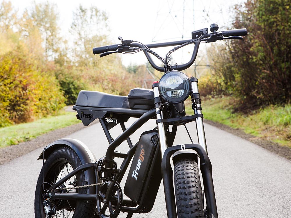 Freego | Shotgun Prime F2 Pro Cargo E-Bike | 1500W - F2 Pro(48V 22.5AH) With Rear Cargo Rack