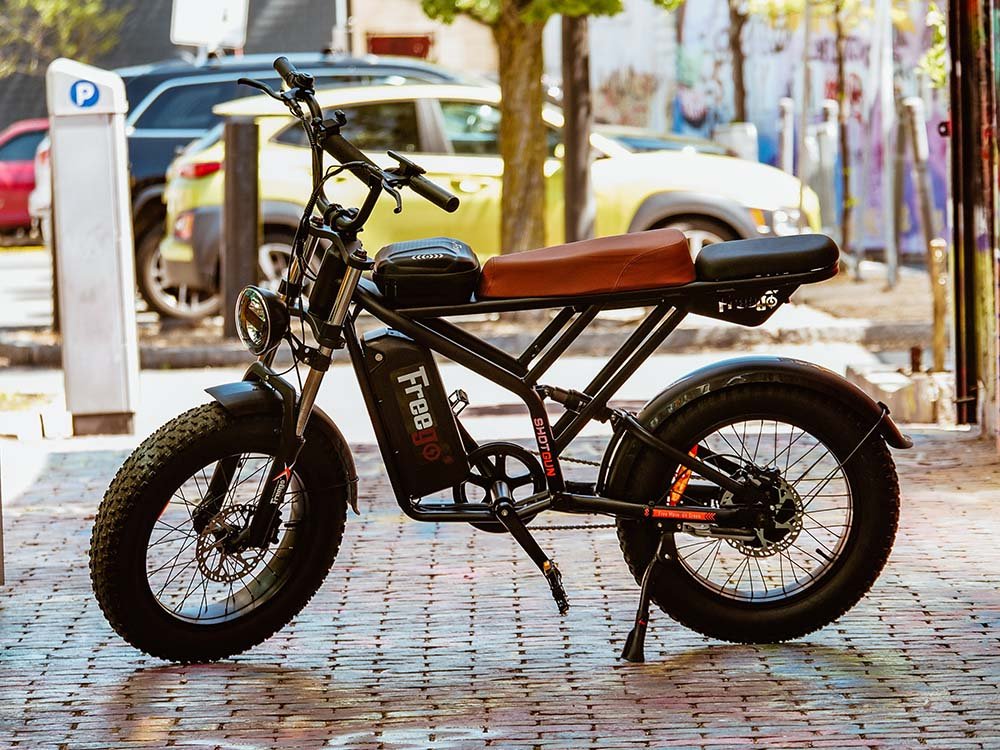 Freego | Shotgun Prime F2 Pro Cargo E-Bike | 1500W - F2 Pro(48V 22.5AH) With Rear Trunk