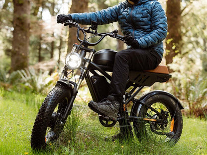 Freego | Flash F3 Pro Max Dual Motor Fat Tire E-Bike | 2592Wh