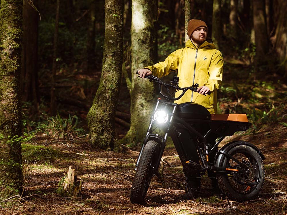 Freego | Flash F3 Pro Max Dual Motor Fat Tire E-Bike | 2592Wh
