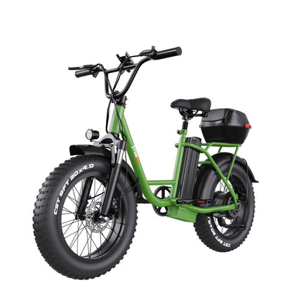 Freego | FB-20X Cargo E-Bike | 750W, 20x4 Fat Tire - 15Ah Battery With Rear Trunk