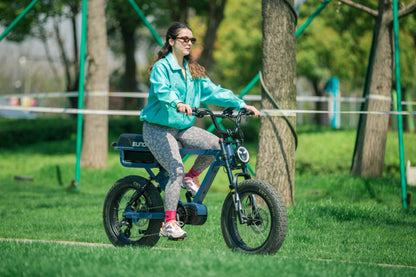 Eunorau | Flash | FLSHLT2019GB2US - Lunar Dust Rear-drive