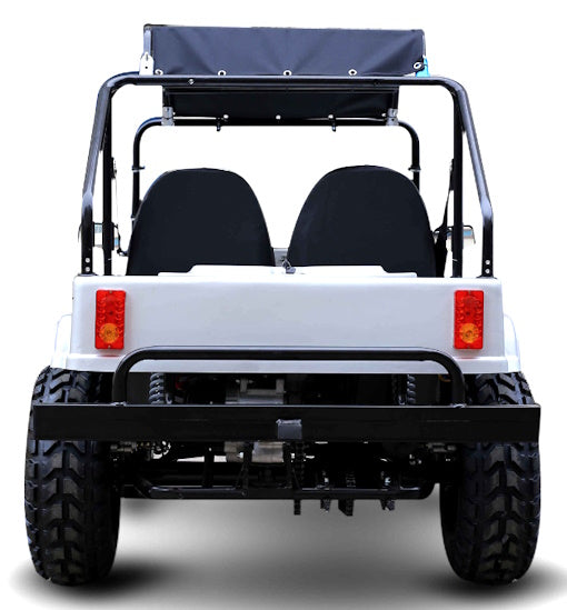 GSI - Adult Mini Jeep Inferno 200cc with Spare Tire Truck Gas Golf Cart Mini jeep Vehicle - GR-9
