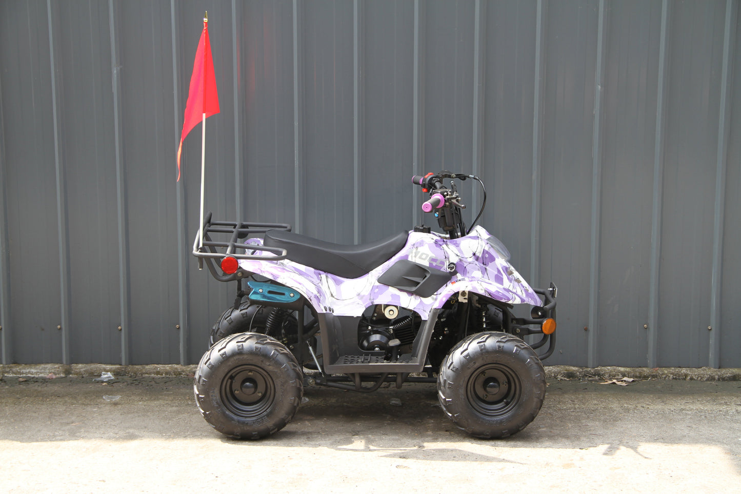 RPS Dinosaur ATV110-6S Youth Hunter Style ATV - 110cc, Automatic Transmission, Rear Rack, Electric Start, Thumb Throttle with Free Battery Charge, up to $49 value