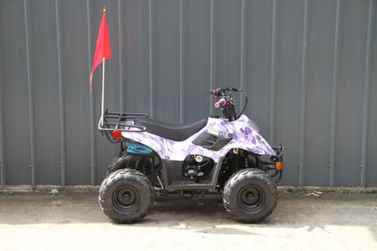 RPS Dinosaur ATV110-6S Youth Hunter Style ATV - 110cc, Automatic Transmission, Rear Rack, Electric Start, Thumb Throttle with Free Battery Charge, up to $49 value