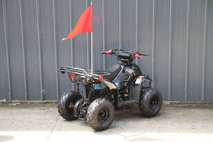 RPS Dinosaur ATV110-6S Youth Hunter Style ATV - 110cc, Automatic Transmission, Rear Rack, Electric Start, Thumb Throttle with Free Battery Charge, up to $49 value