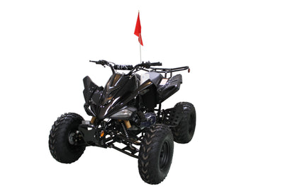 RPS Blizzard 200 Sport ATV - Adult Full Size, 169cc, Automatic with Reverse, 21-Inch Front Tires, Alloy Rims, with Free Battery Charge, up to $49 value