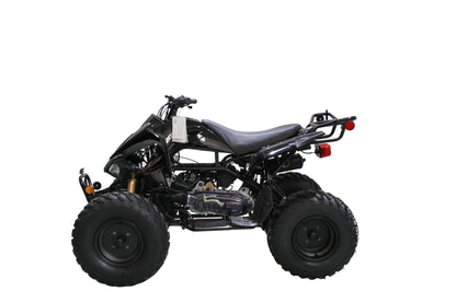RPS Blizzard 200 Sport ATV - Adult Full Size, 169cc, Automatic with Reverse, 21-Inch Front Tires, Alloy Rims, with Free Battery Charge, up to $49 value