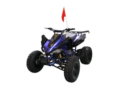 RPS Blizzard 200 Sport ATV - Adult Full Size, 169cc, Automatic with Reverse, 21-Inch Front Tires, Alloy Rims, with Free Battery Charge, up to $49 value