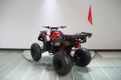 RPS Desert 200 Utility 200ATV-21 Adult ATV - 149cc, Automatic, Reverse, 21" Tires, Dual Racks, LED Lights with Free Battery Charge, up to $49 value