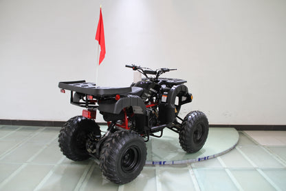 RPS Desert 200 Utility 200ATV-21 Adult ATV - 149cc, Automatic, Reverse, 21" Tires, Dual Racks, LED Lights with Free Battery Charge, up to $49 value