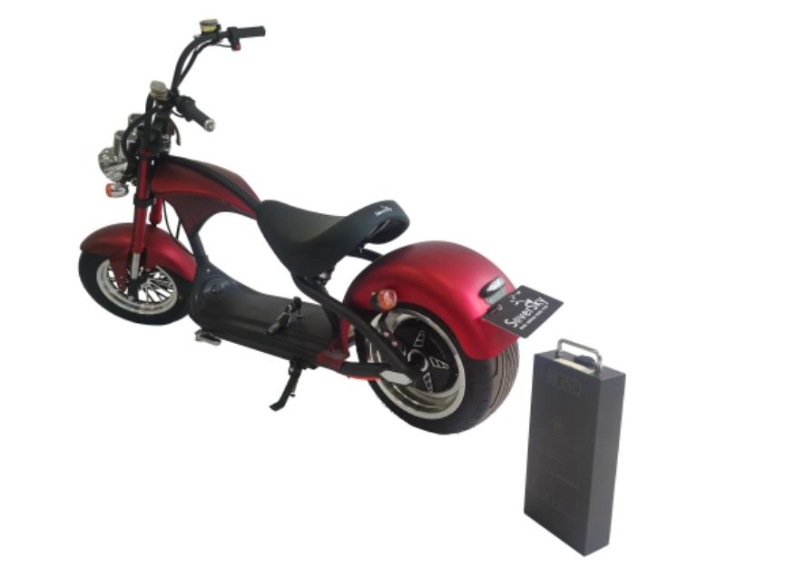 SoverSky Removable Lithium Battery | Backup Battery