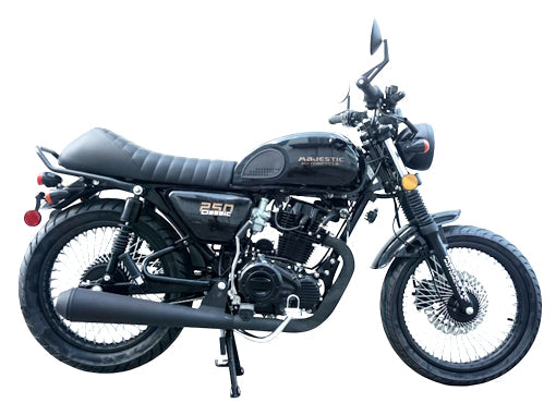 250 Majestic 4 Stroke Manual Dirt Bike w/ Electric & Kick Start