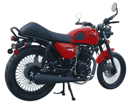 250 Majestic 4 Stroke Manual Dirt Bike w/ Electric & Kick Start