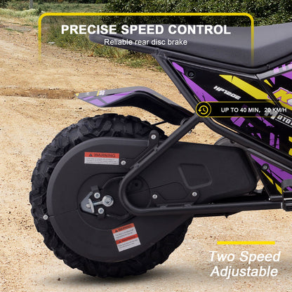 MotoTec | 24v 250w Electric Powered Mini Bike | HP120E