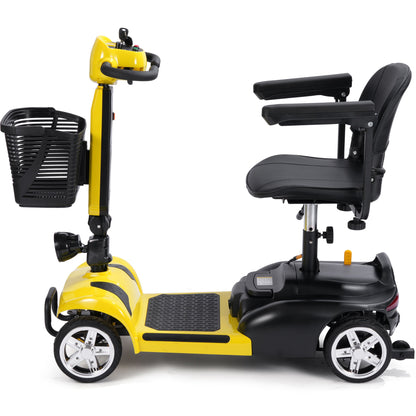 MotoTec | Mobility Scooter 24v 250w PLUS