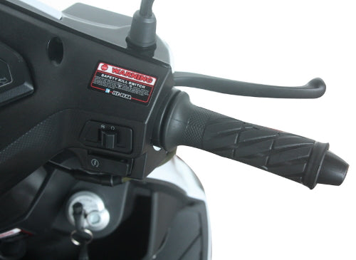 GSI - 50cc 4 Stroke Automatic 3 Wheel Trike Scooter Moped Mojo Magic - TRI030