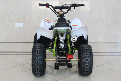 TrailMaster N110 Youth ATV 110cc - 6.8HP Automatic Electric Start, Off-Road Quad Bike