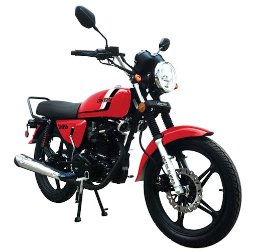 250 Majestic 4 Stroke Manual Dirt Bike w/ Electric & Kick Start