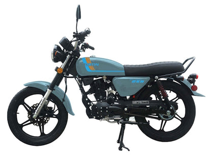 250 Majestic 4 Stroke Manual Dirt Bike w/ Electric & Kick Start
