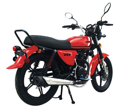250 Majestic 4 Stroke Manual Dirt Bike w/ Electric & Kick Start