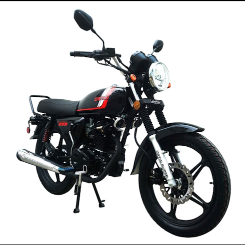 250 Majestic 4 Stroke Manual Dirt Bike w/ Electric & Kick Start
