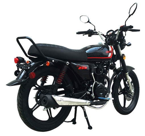 250 Majestic 4 Stroke Manual Dirt Bike w/ Electric & Kick Start