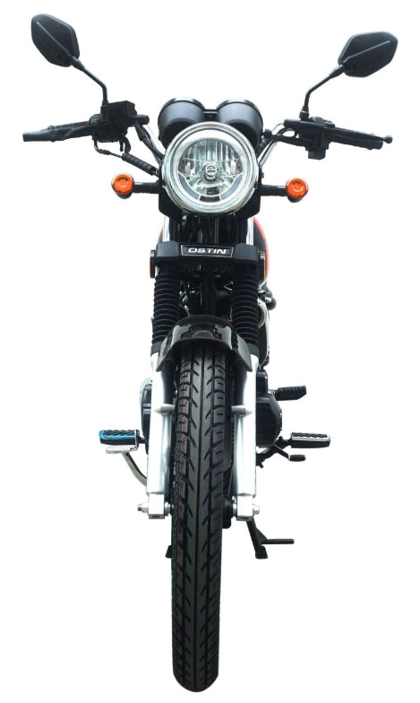 250 Majestic 4 Stroke Manual Dirt Bike w/ Electric & Kick Start