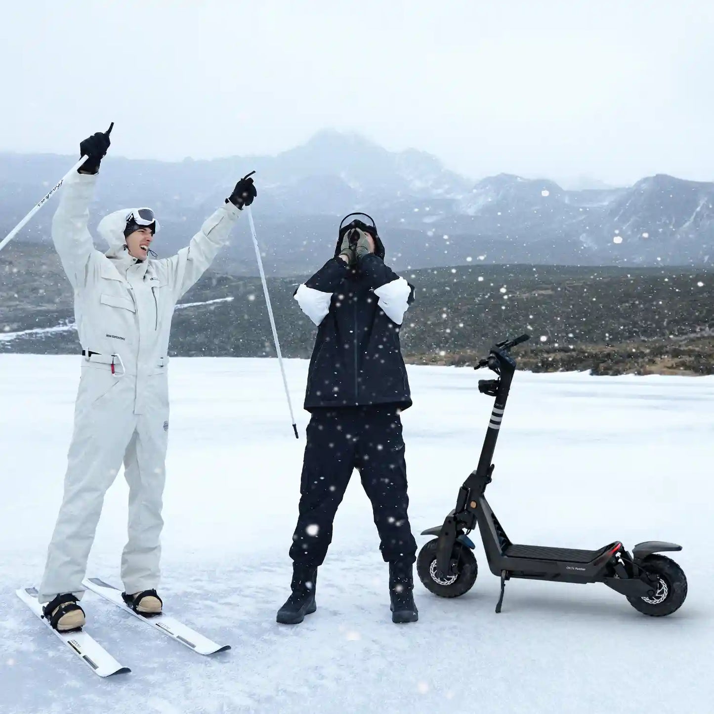 OKAI Panther ES800 - Best Dual Motor Off Road Extreme High Performance Scooter