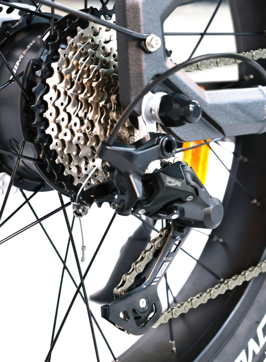 Dirwin Pioneer 2 Hunting Fat Tire Electric Bike - 30Ah, 750W (Peak 1000W), up to 120 miles range, hydraulic brakes, upto 28 MPH - 100% Financing Available!