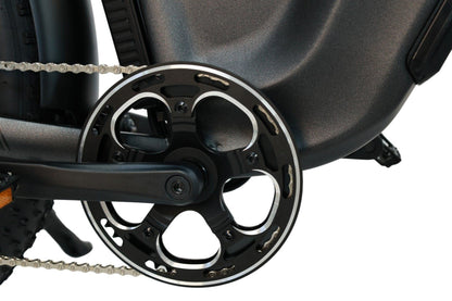 Dirwin Pioneer 2 Hunting Fat Tire Electric Bike - 30Ah, 750W (Peak 1000W), up to 120 miles range, hydraulic brakes, upto 28 MPH - 100% Financing Available!