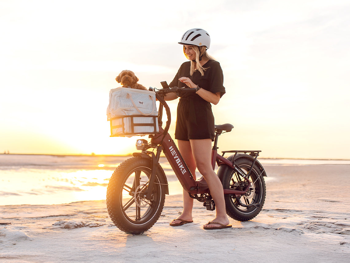 Heybike Ranger S Folding Fat Tire E-Bike | 1800W Peak