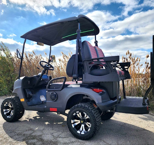 GSI - Renegade Fuel - Gas Powered Golf Cart 4 Seater 200cc Renegade Fuel Edition Utility Golf UTV - GAS EDITION - Renegade GAS