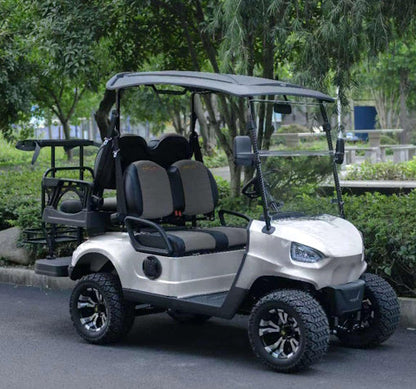 48V Electric Golf Cart 4 Seater Renegade Light Edition Utility Golf UTV - LIGHT EDITION - Charcoal