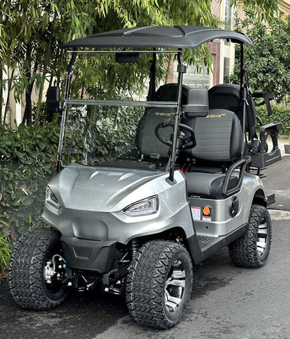 48V Electric Golf Cart 4 Seater Renegade Light Edition Utility Golf UTV - LIGHT EDITION - Charcoal