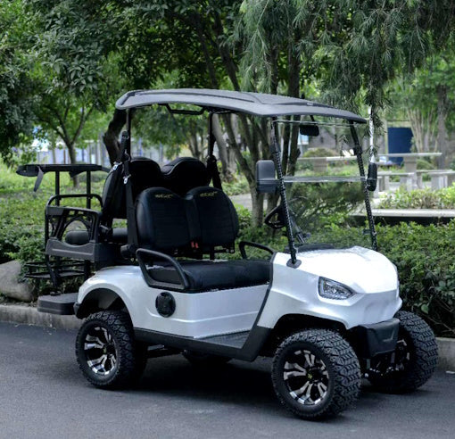 48V Electric Golf Cart 4 Seater Renegade Light Edition Utility Golf UTV - LIGHT EDITION - RED