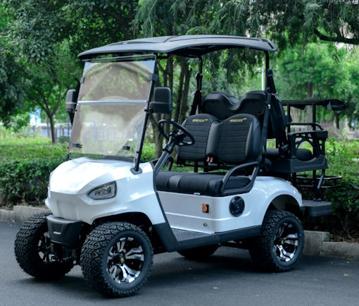 48V Electric Golf Cart 4 Seater Renegade Light Edition Utility Golf UTV - LIGHT EDITION - MATTE BLACK