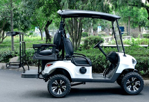 48V Electric Golf Cart 4 Seater Renegade Light Edition Utility Golf UTV - LIGHT EDITION - SILVER