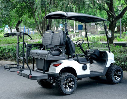 GSI - Renegade Fuel - Gas Powered Golf Cart 4 Seater 200cc Renegade Fuel Edition Utility Golf UTV - GAS EDITION - Renegade GAS