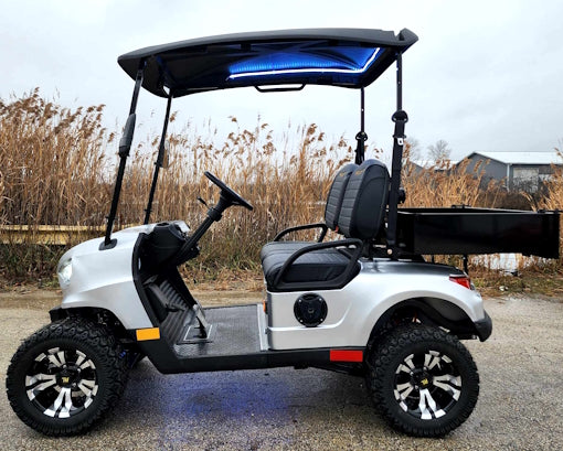 48V Electric Golf Cart 2 Seater Renegade Light Edition Utility Golf UTV W/Utility Box - SILVER