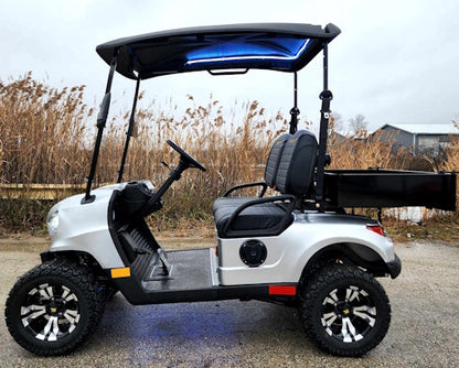 48V Electric Golf Cart 2 Seater Renegade Light Edition Utility Golf UTV W/Utility Box - SILVER