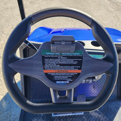 48V Electric Golf Cart 2 Seater Renegade X Edition Golf Cart - BLUE