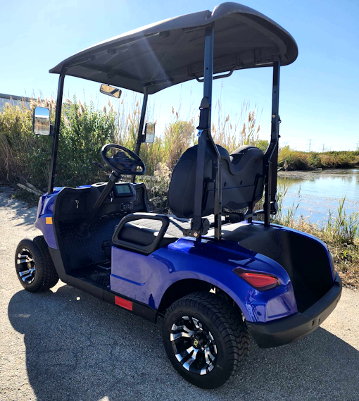 48V Electric Golf Cart 2 Seater Renegade X Edition Golf Cart - BLUE