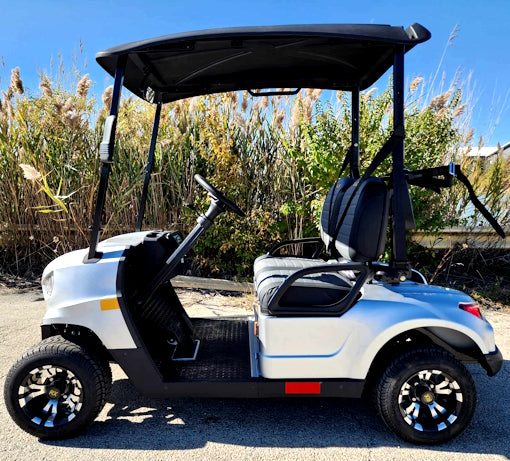48V Electric Golf Cart 2 Seater Renegade X Edition Golf Cart w/ Golf Bag Holder - SILVER