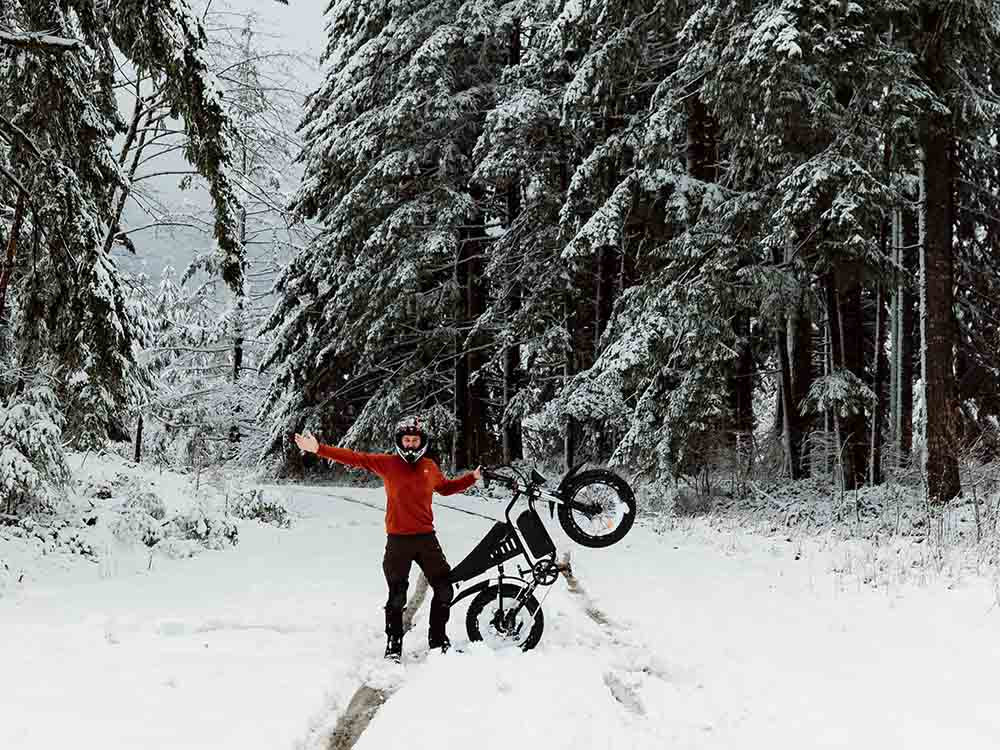 Freego S1 Cafe Racer Fat Tire Electric Bike - 48V 22.5Ah 750W, hydraulic brakes, 28MPH, up to 50 miles range - 100% Financing Available!