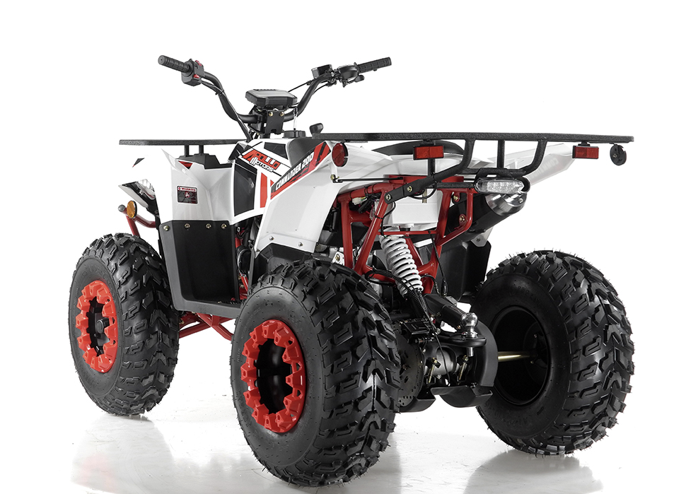 Apollo Commander 200,174cc Fully, Automatic with Reverse, Coil Over Shocks, Dual racks, CARB