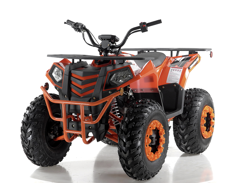 Apollo Commander 200,174cc Fully, Automatic with Reverse, Coil Over Shocks, Dual racks, CARB